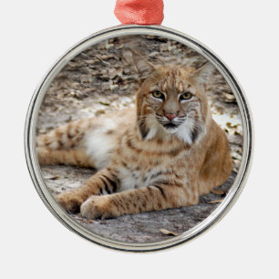 Bobcat Christmas Ornament