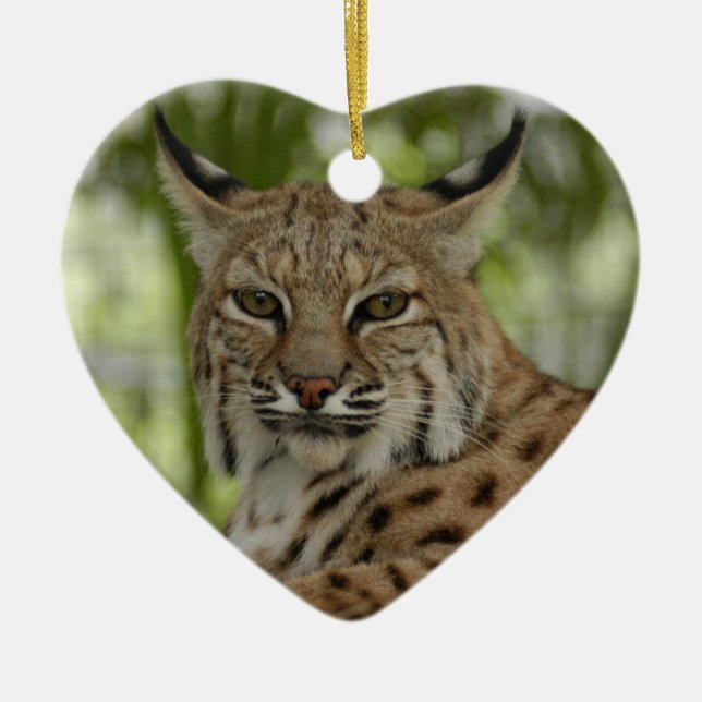 Bobcat Christmas Ornament (Front)