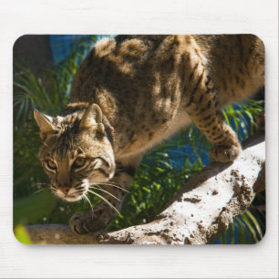 Bobcat Crouch Mouse Pad