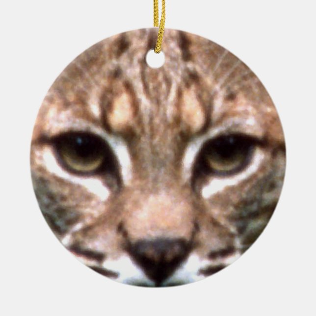 Bobcat Face Ceramic Ornament (Front)