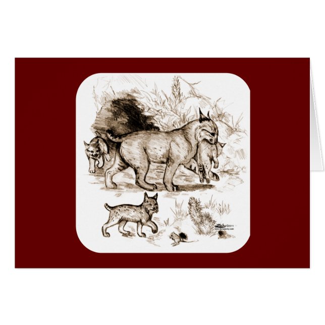 Bobcat Family (Front Horizontal)