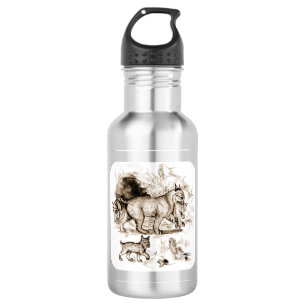 Bobcat Family 532 Ml Water Bottle