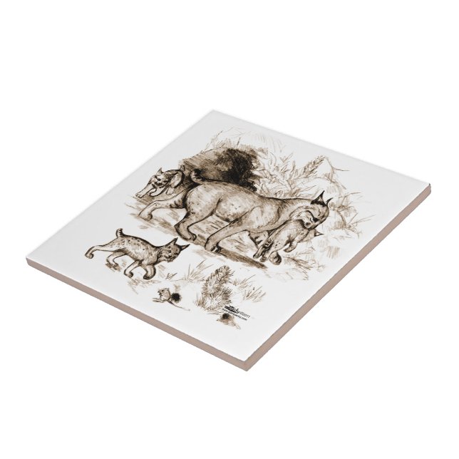 Bobcat Family Ceramic Tile (Side)
