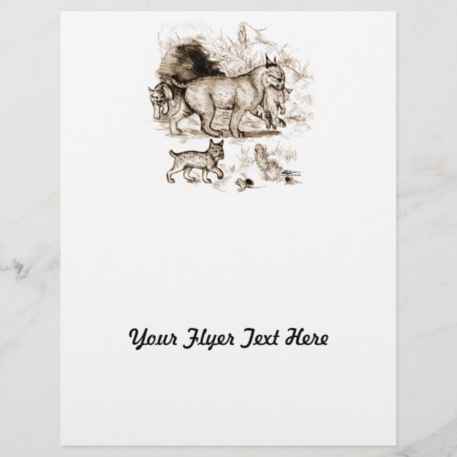 Bobcat Family Flyer (Front)