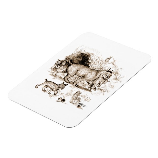 Bobcat Family Magnet (Left Side)