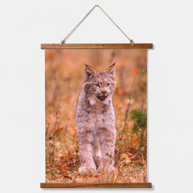 Bobcat Hunting | Autumn Forest Hanging Tapestry (Front)