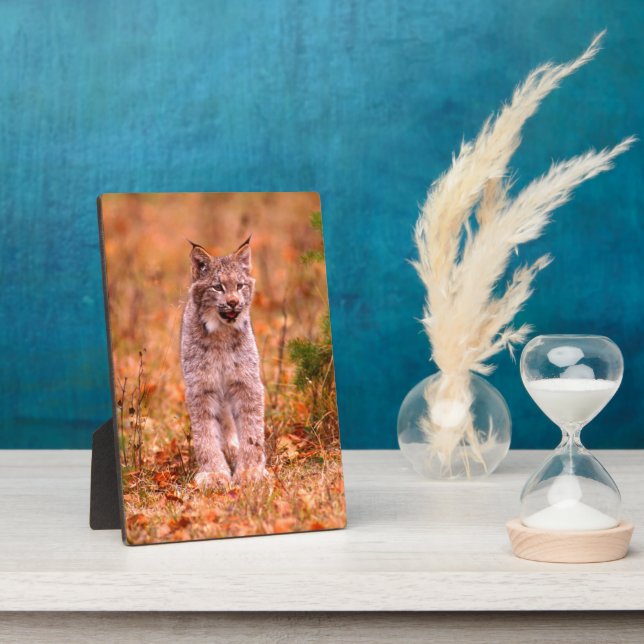 Bobcat Hunting | Autumn Forest Plaque (Side)