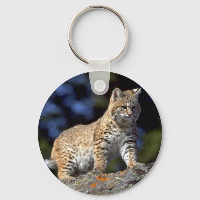Bobcat Key Ring (Front)