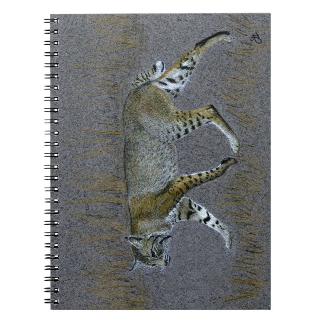 Bobcat Notebook (Front)
