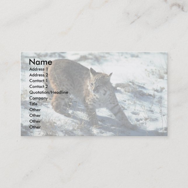 Bobcat on snow business card (Front)
