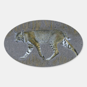 Bobcat Oval Sticker