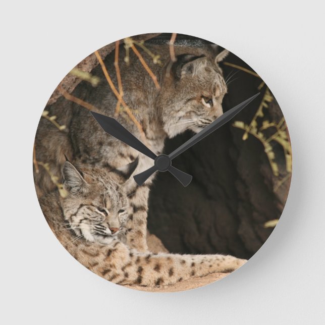 Bobcat Photo Clock (Front)