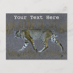 Bobcat Postcard