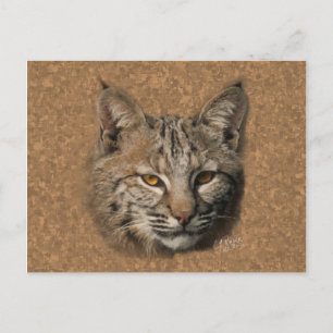 Bobcat Postcard