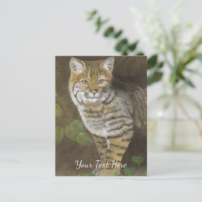 Bobcat Postcard (Standing Front)