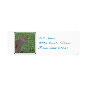 Bobcat Prowling Return Address Label