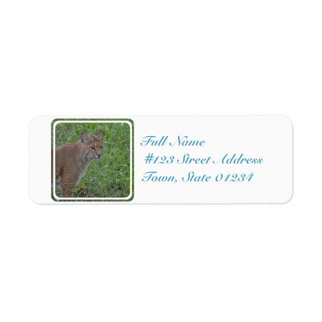 Bobcat Prowling Return Address Label (Front)