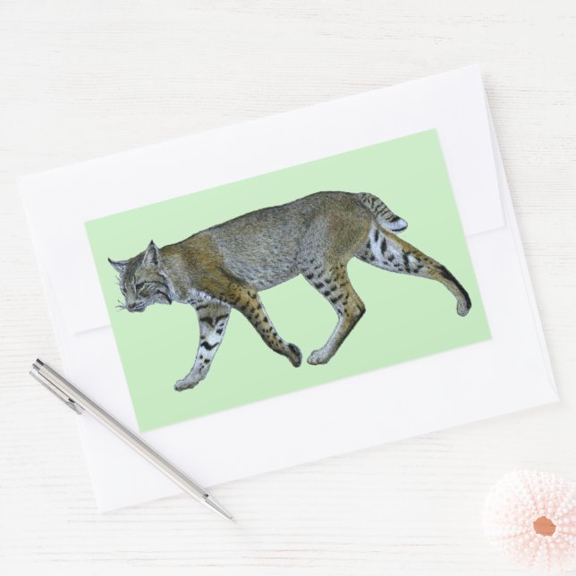 Bobcat Rectangular Sticker (Envelope)