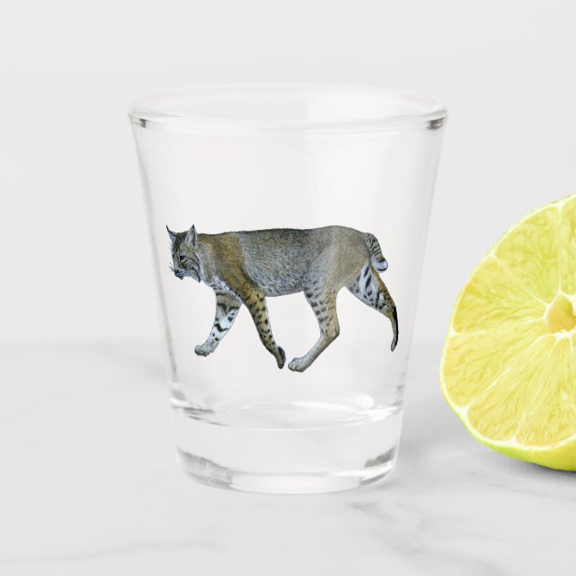 Bobcat Shot Glass (Front)