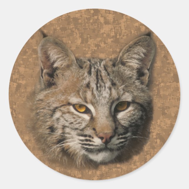 Bobcat Sticker (Front)