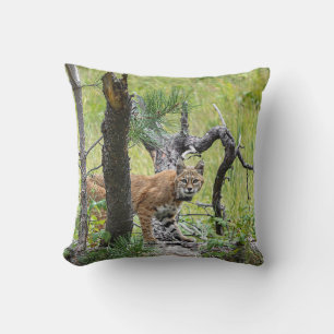 Bobcat Throw Pillow