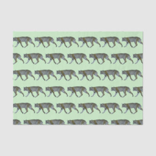 Bobcat Tissue Paper
