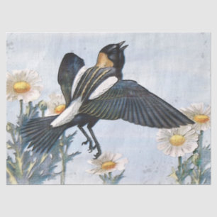 Bobolink Bird Decoupage Tissue Paper
