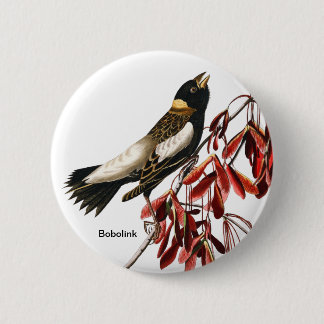 Bobolink by John James Audubon, Birder, Rice Bird 6 Cm Round Badge