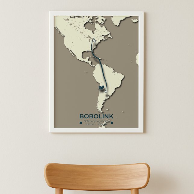 Bobolink Migration Map – Minimalist Vintage Poster (Creator Uploaded)