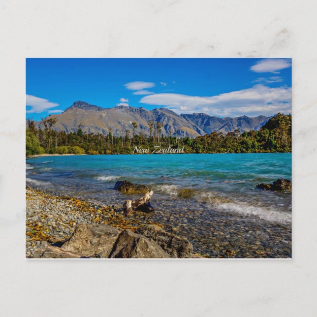 Bob's Cove, New Zealand Postcard (Front)