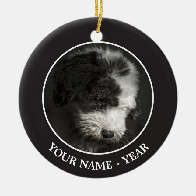 Bobtail puppy portrait in studio ceramic ornament (Front)