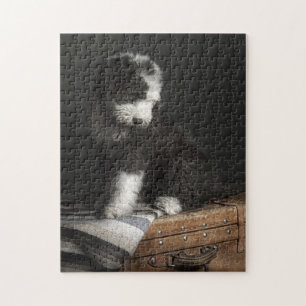 Bobtail puppy portrait in studio jigsaw puzzle