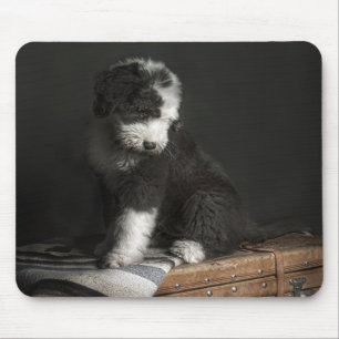 Bobtail puppy portrait in studio mouse pad