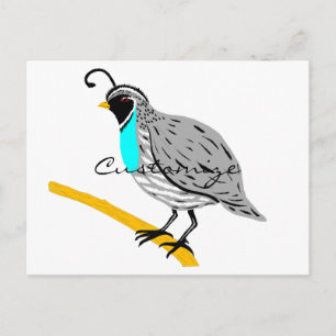 Bobwhite Blue-throated Quail Thunder_Cove Postcard