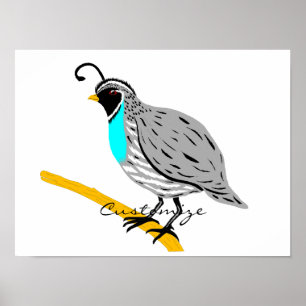 Bobwhite Blue-throated Quail Thunder_Cove Poster