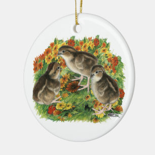 Bobwhite Garden Chicks Ceramic Tree Decoration