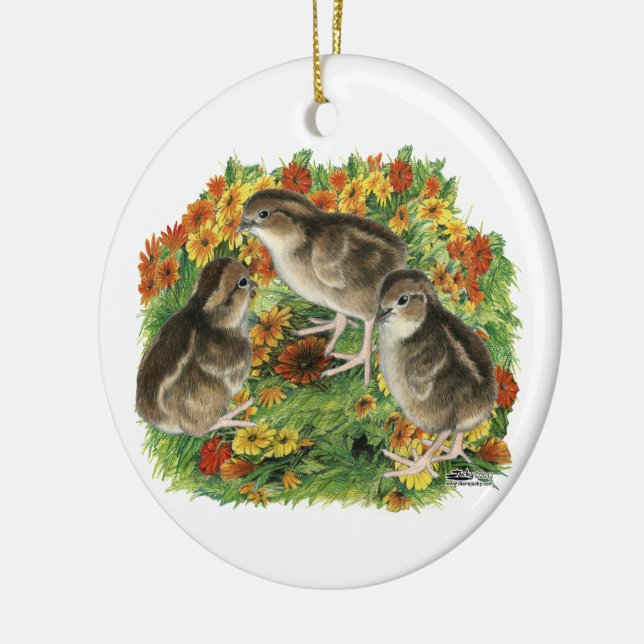 Bobwhite Garden Chicks Ceramic Tree Decoration (Left)