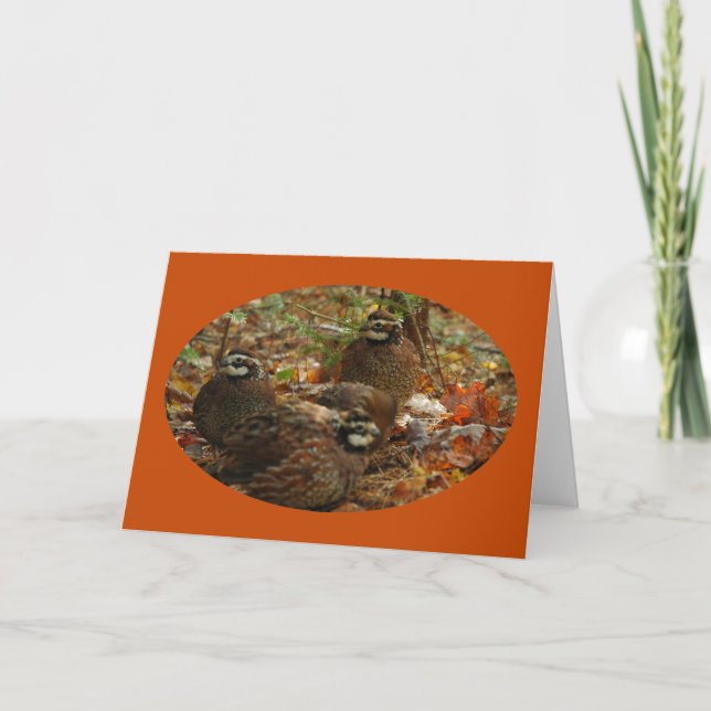 Bobwhite Miracle Card (Front)
