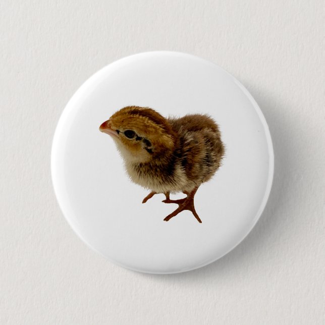 Bobwhite Quail Chick 6 Cm Round Badge (Front)