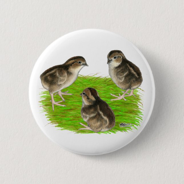 Bobwhite Quail Chicks 6 Cm Round Badge (Front)
