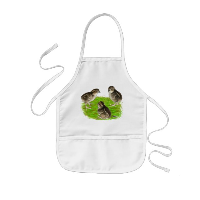 Bobwhite Quail Chicks Kids Apron (Front)