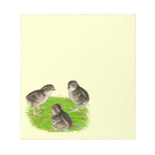 Bobwhite Quail Chicks Notepad