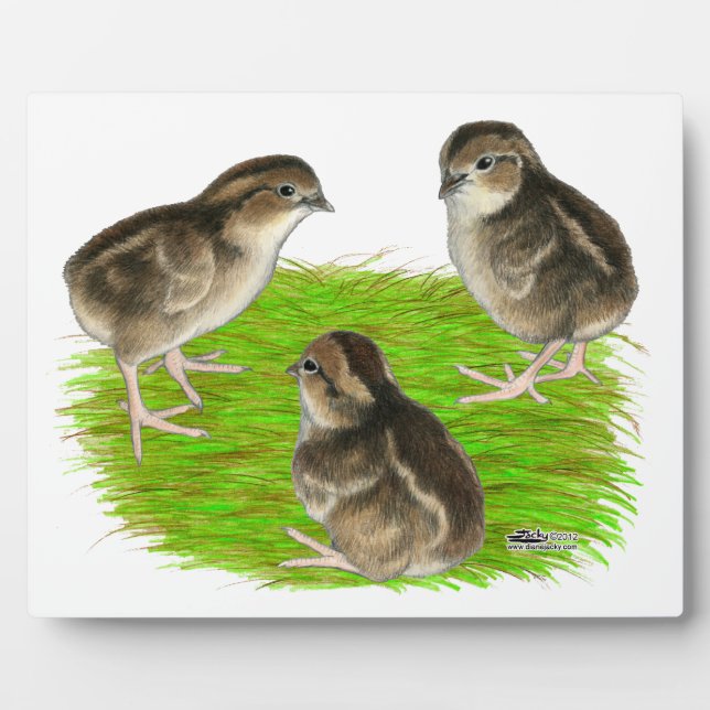 Bobwhite Quail Chicks Plaque (Front)