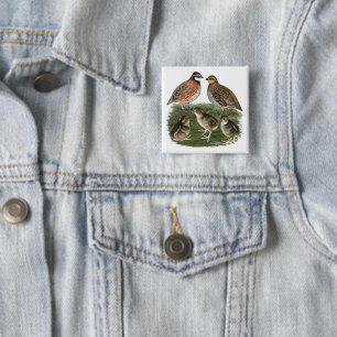 Bobwhite Quail Family 15 Cm Square Badge