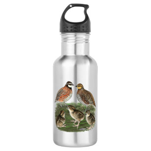 Bobwhite Quail Family 532 Ml Water Bottle