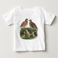 Bobwhite Quail Family