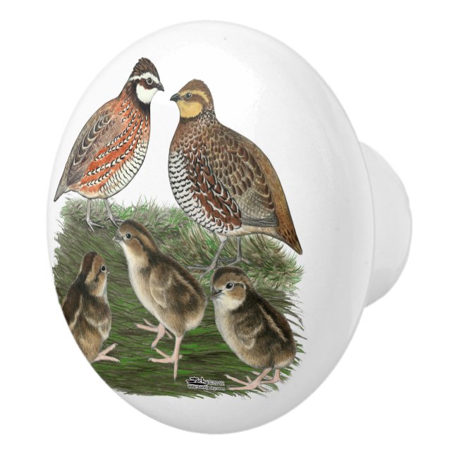 Bobwhite Quail Family Ceramic Knob (Right)