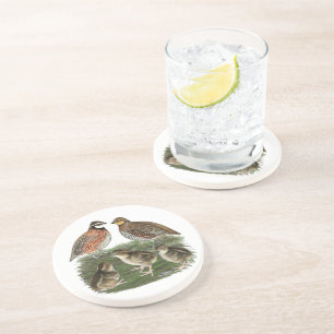Bobwhite Quail Family Coaster
