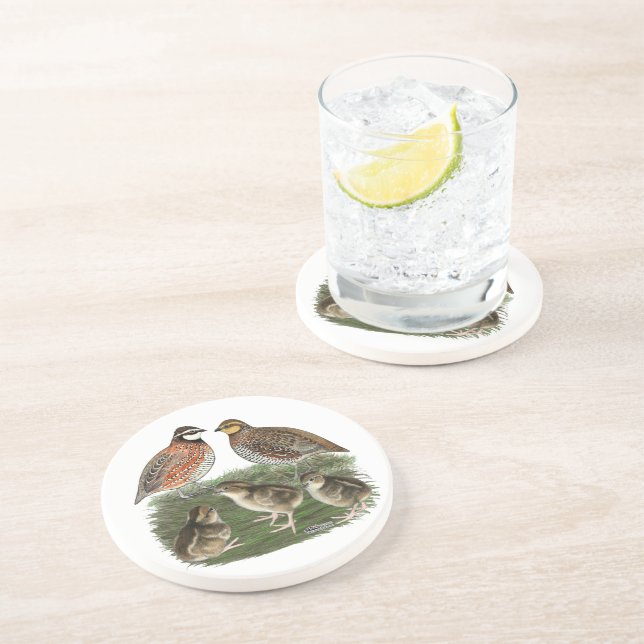 Bobwhite Quail Family Coaster (Side)