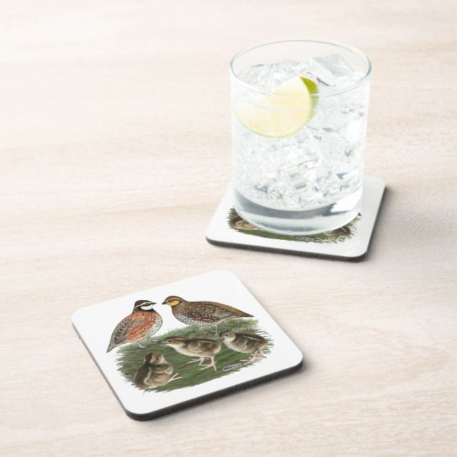Bobwhite Quail Family Coaster (Right Side)